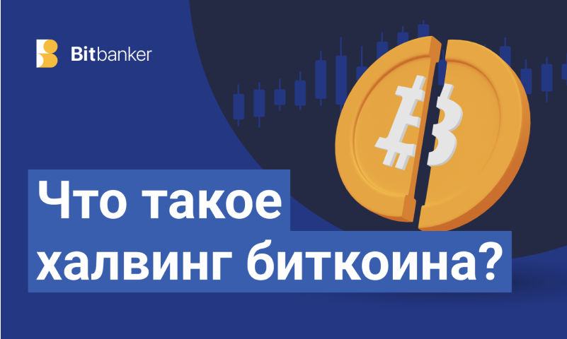 Что такое халвинг биткоина и что ждет BTC в 2024 году?